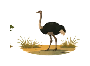 Shidley illustration